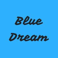 Blue Dream - Produced by Mutual Soundz